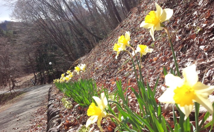 チカラ持ちの男衆と花盛り！？
