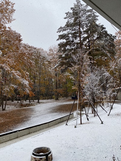初雪が降りました⛄