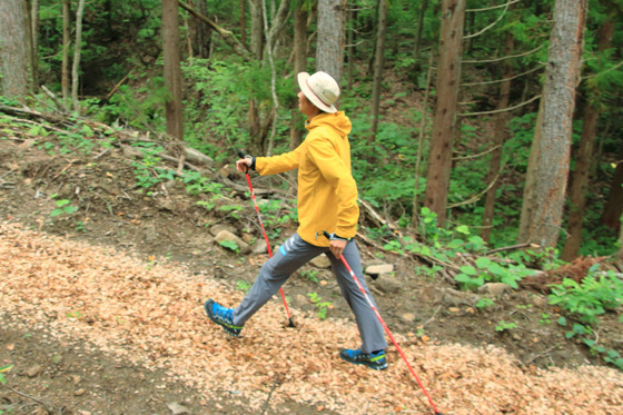 ノルディックウォーキング