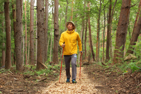 ノルディックウォーキング