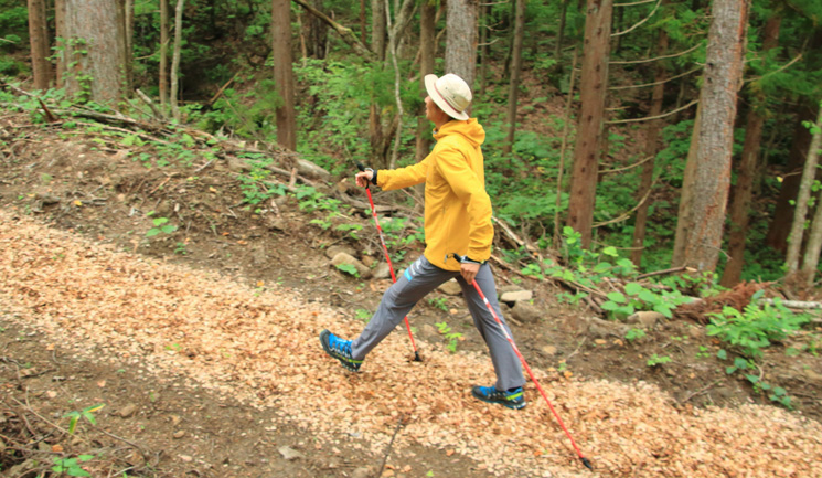 森の中をウォーキング・ジョギング