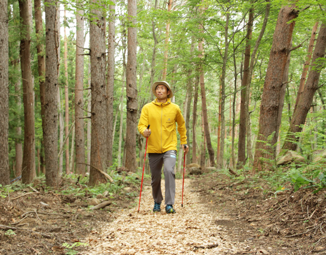 ノルディックウォーキング